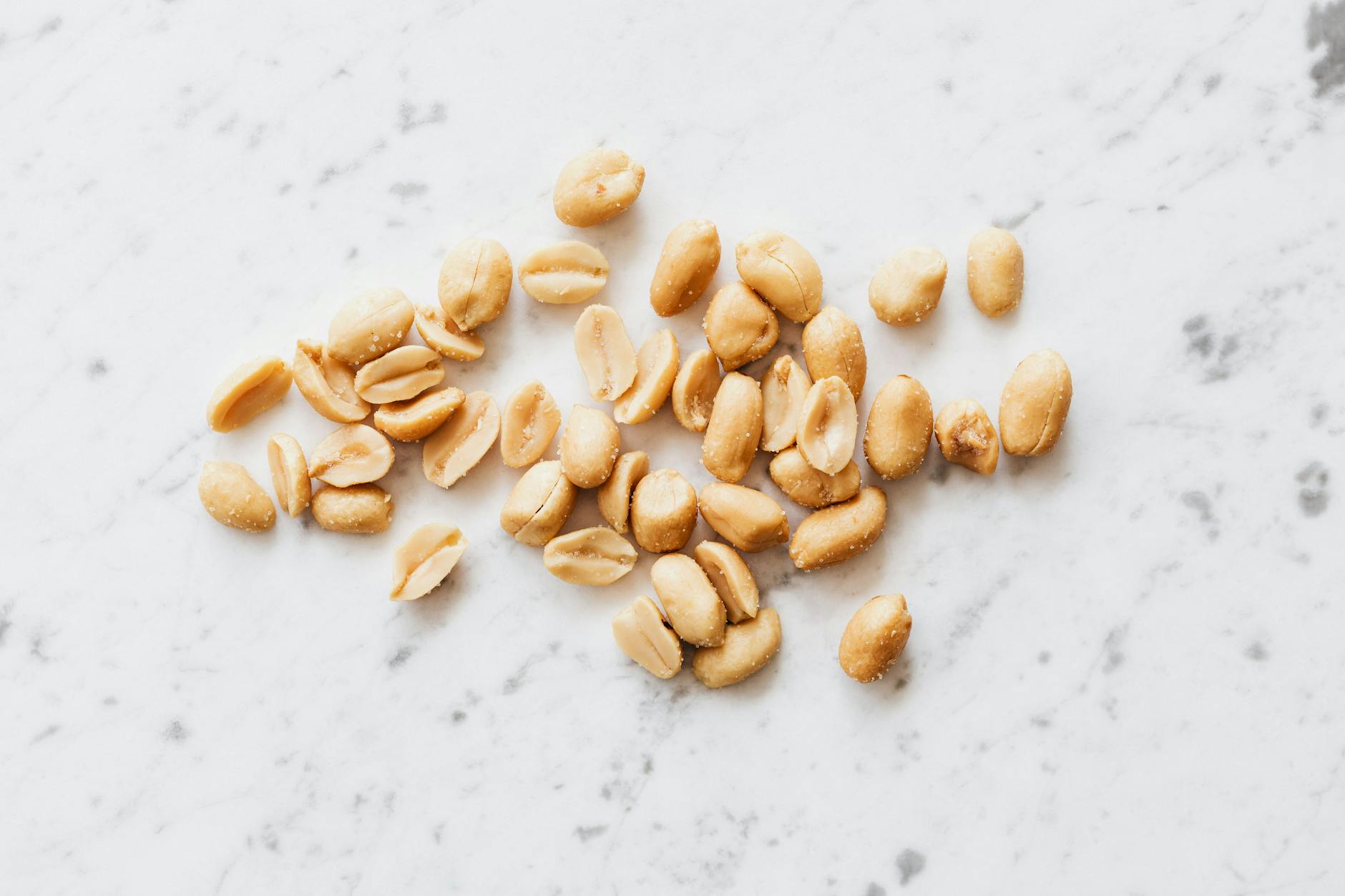 The Rise of Plant-Based Proteins: Exploring Alternatives to Meat