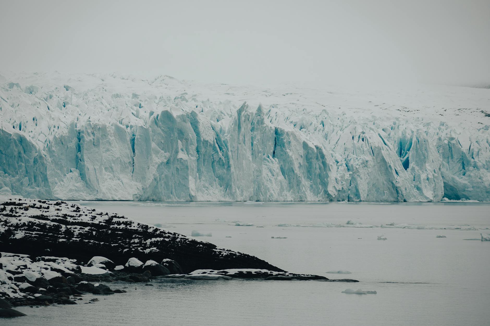 The Immense Impact of Climate Change on Marine Biodiversity